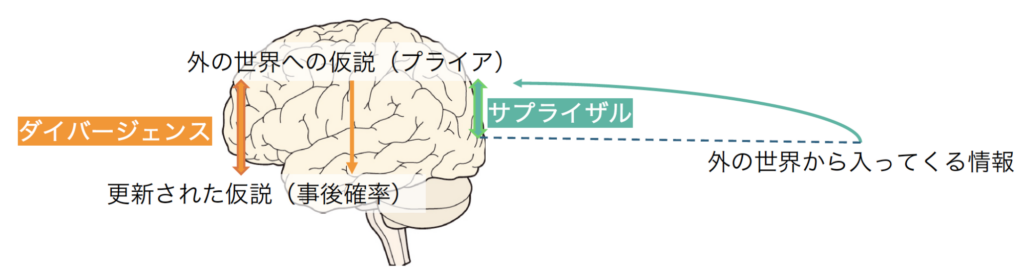 脳の情報処理はこの予測誤差