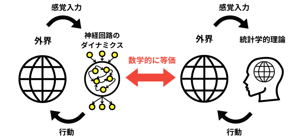 神経回路のダイナミクスとベイズ推論の概念図